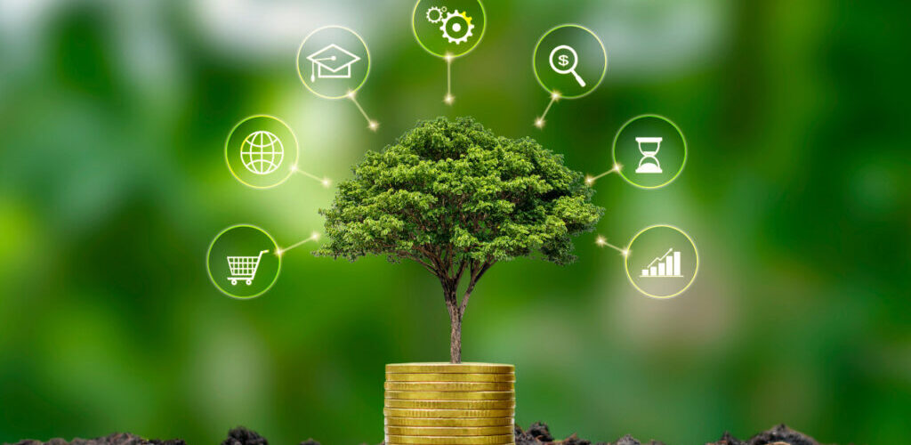 Sénégal : une taxonomie verte pour mobiliser les investissements durables 