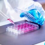 Santé : un projet de centre de thérapie par cellules souches de 10 millions de dollars annoncé à Dakar 