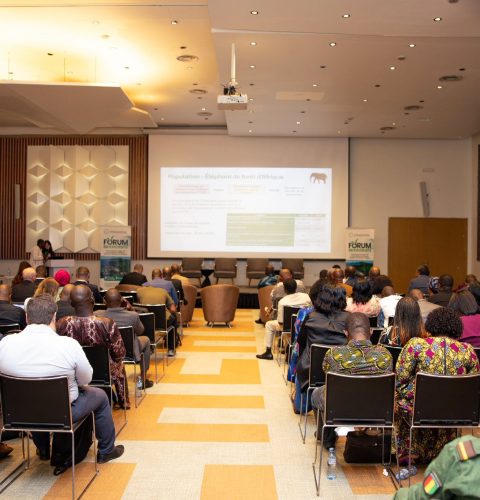 681542707_1392816176215772_4221885272154522822_n