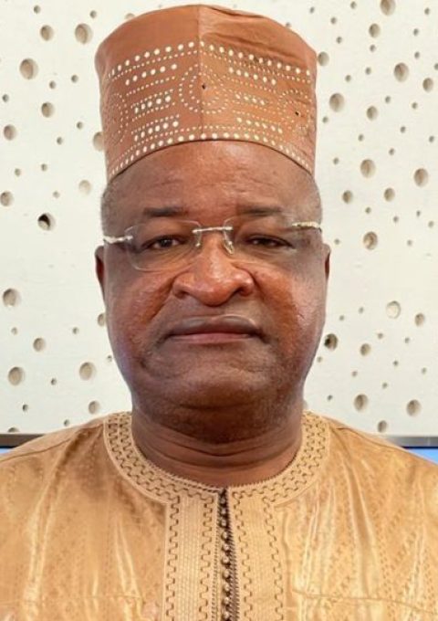 MAMADOU-SYLLA-UDG-9-696x548-1