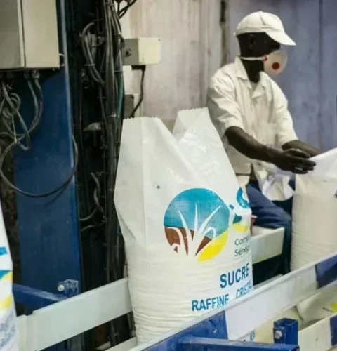 jad20230404-eco-senegal-sucre-1256x628-1680620509-1200x600