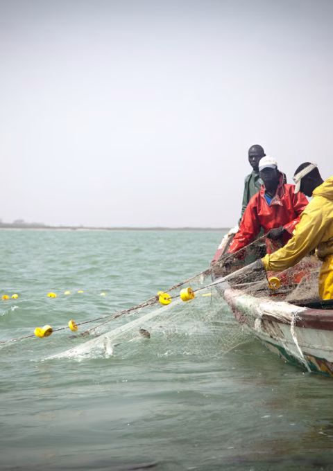 jad20240611-eco-decryptage-senegal-peche