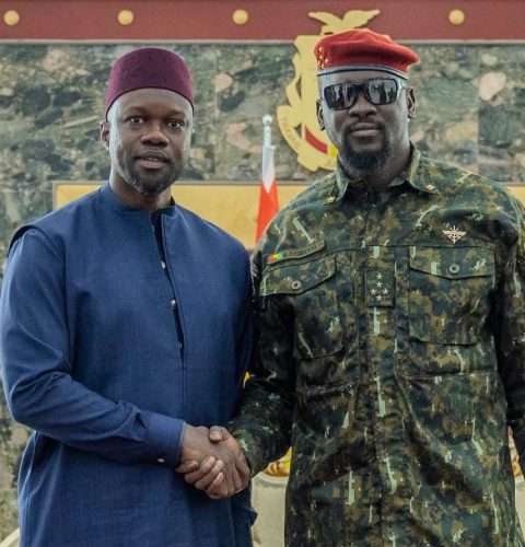 sonko en guinée